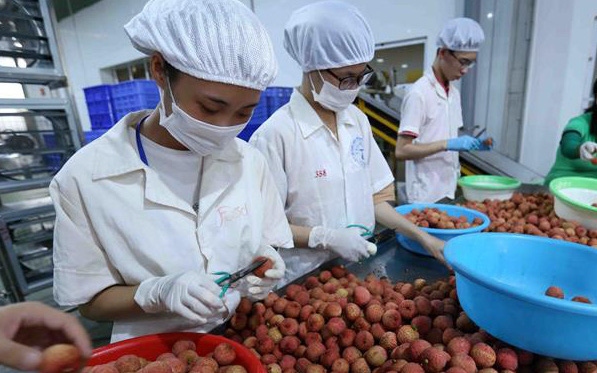 China set to increase agricultural imports from Vietnamese market